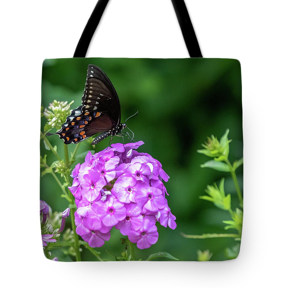 Lenoir Preserve Tote Bag featuring the photograph Spicebush Swallowtail by Kevin Suttlehan
