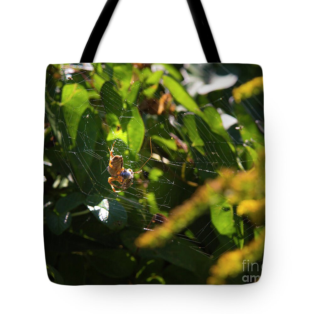 Spider Tote Bag featuring the photograph Spider in a web by Agnes Caruso