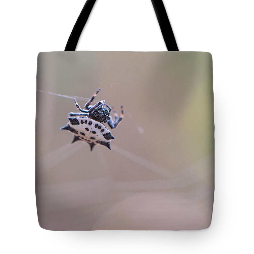 Spider Tote Bag featuring the photograph Spider Macro by Karen Rispin