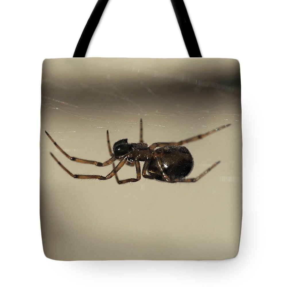 Spider Tote Bag featuring the painting Spider under the web by Sv Bell