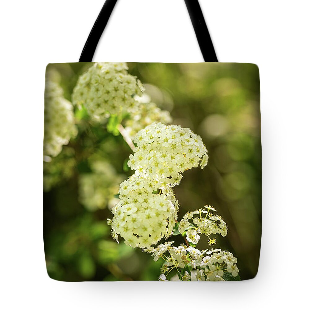 Spring Tote Bag featuring the photograph Spiraea cantoniensis by Average Images
