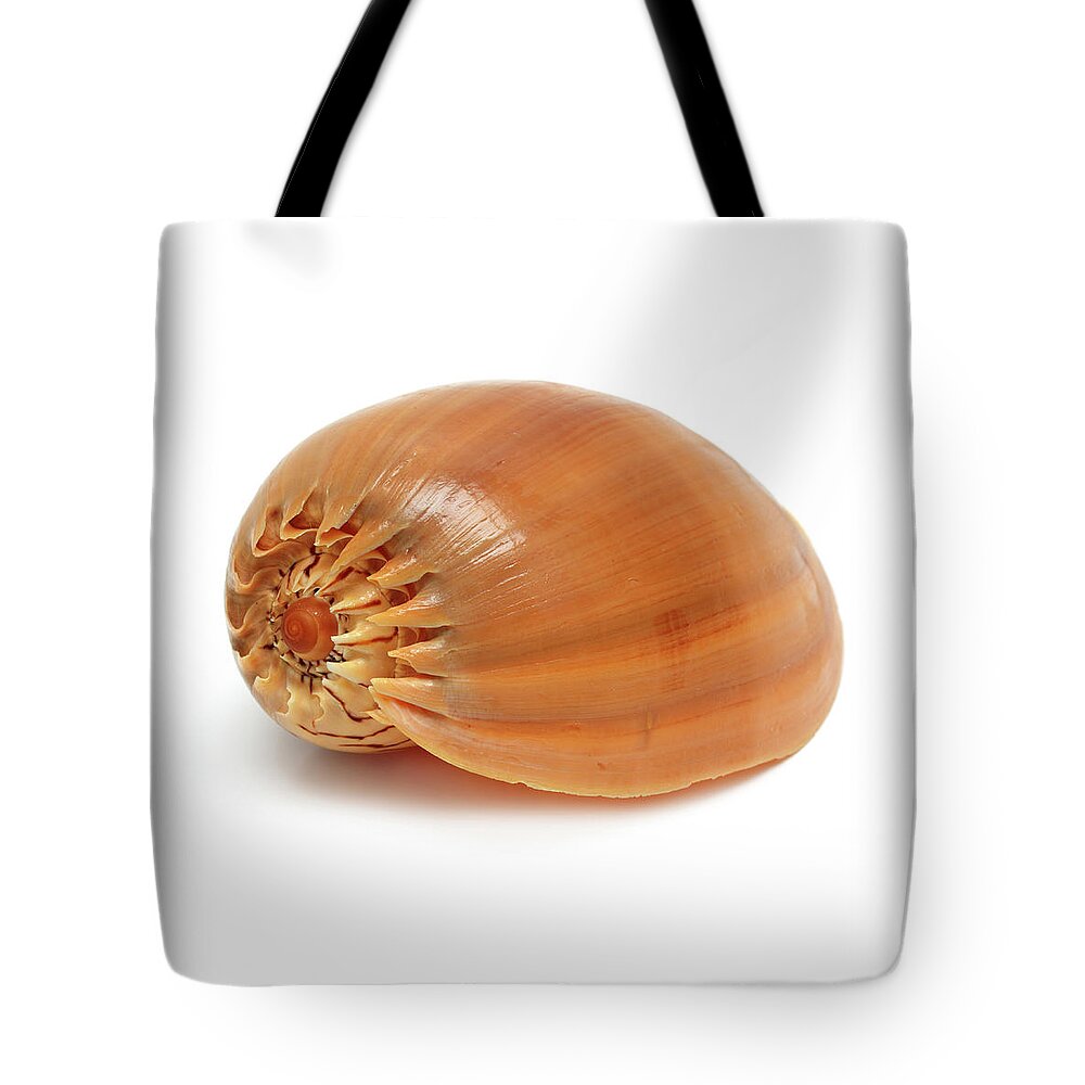 Seashell Tote Bag featuring the photograph Spiral Sea Shell Close-up by Mikhail Kokhanchikov