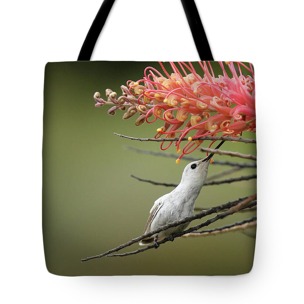 Nature Tote Bag featuring the photograph Spirit Of The Woods 4 by Erick Castellon