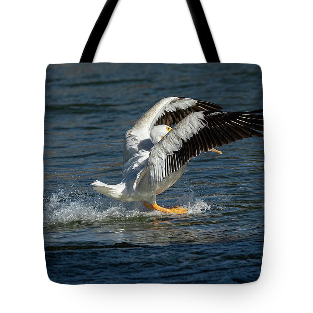 American White Pelican Tote Bag featuring the photograph Splash Down 2016 by Thomas Young