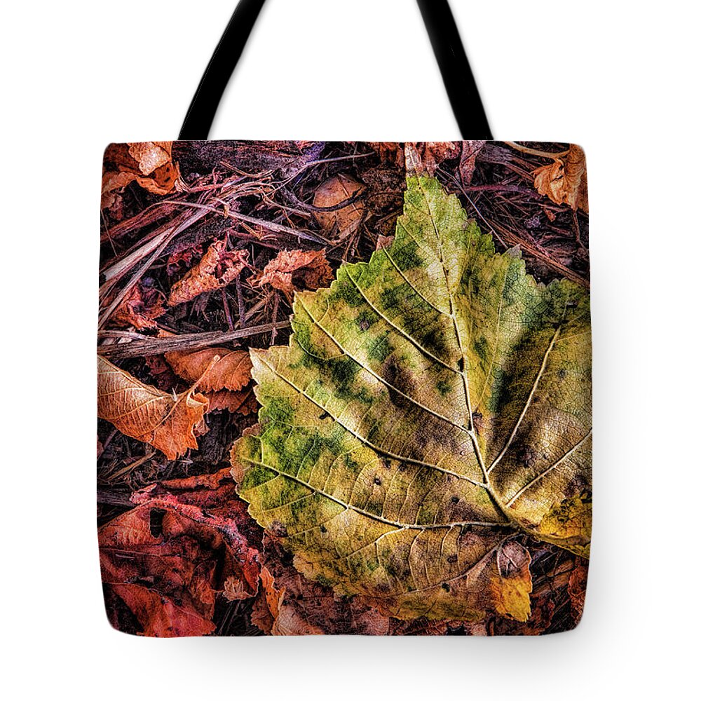 Autumn Tote Bag featuring the photograph Splash of Fall Color by Steve Sullivan