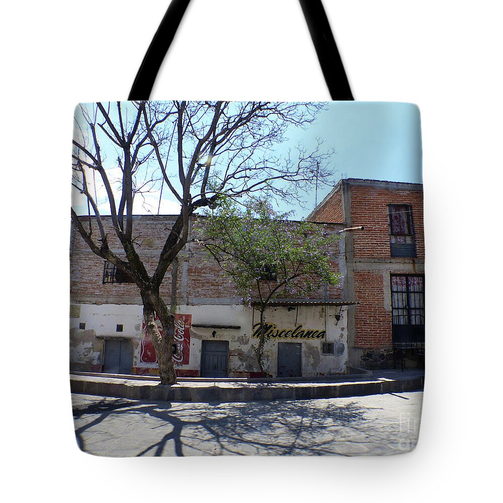 Telephoto Tote Bag featuring the photograph San Miguel de Allende by Rosanne Licciardi