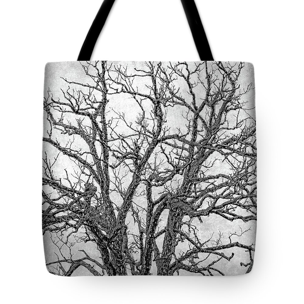 Tree Tote Bag featuring the digital art Spooky Tree in Black and White by Jayne Carney