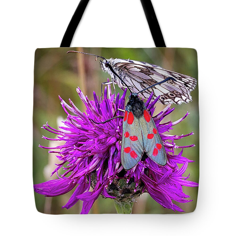 White Tote Bag featuring the photograph Spotted Burnet and Friend by Shirley Mitchell