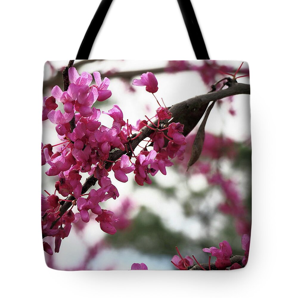 Pink Tote Bag featuring the photograph Spring Bloom 8 by C Winslow Shafer