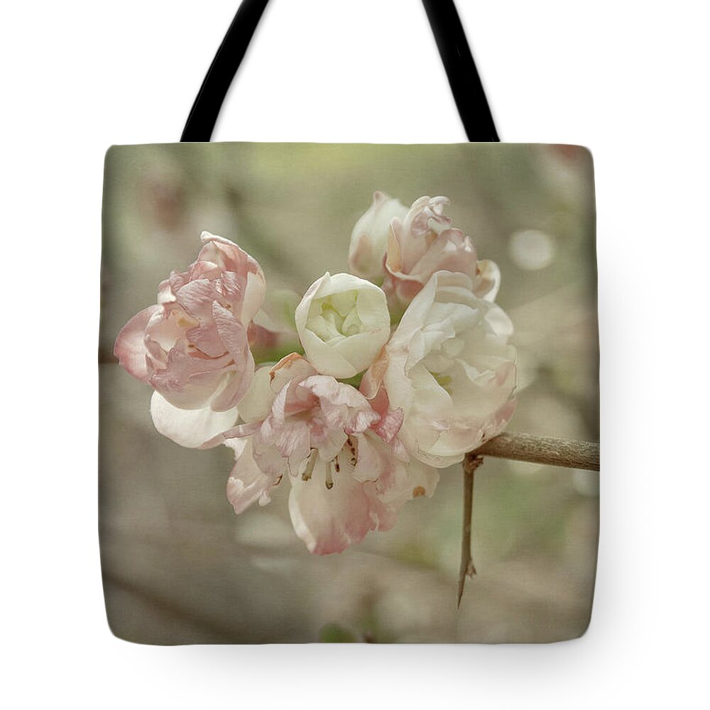 Blossom Tote Bag featuring the photograph Spring Blossom by Elaine Teague