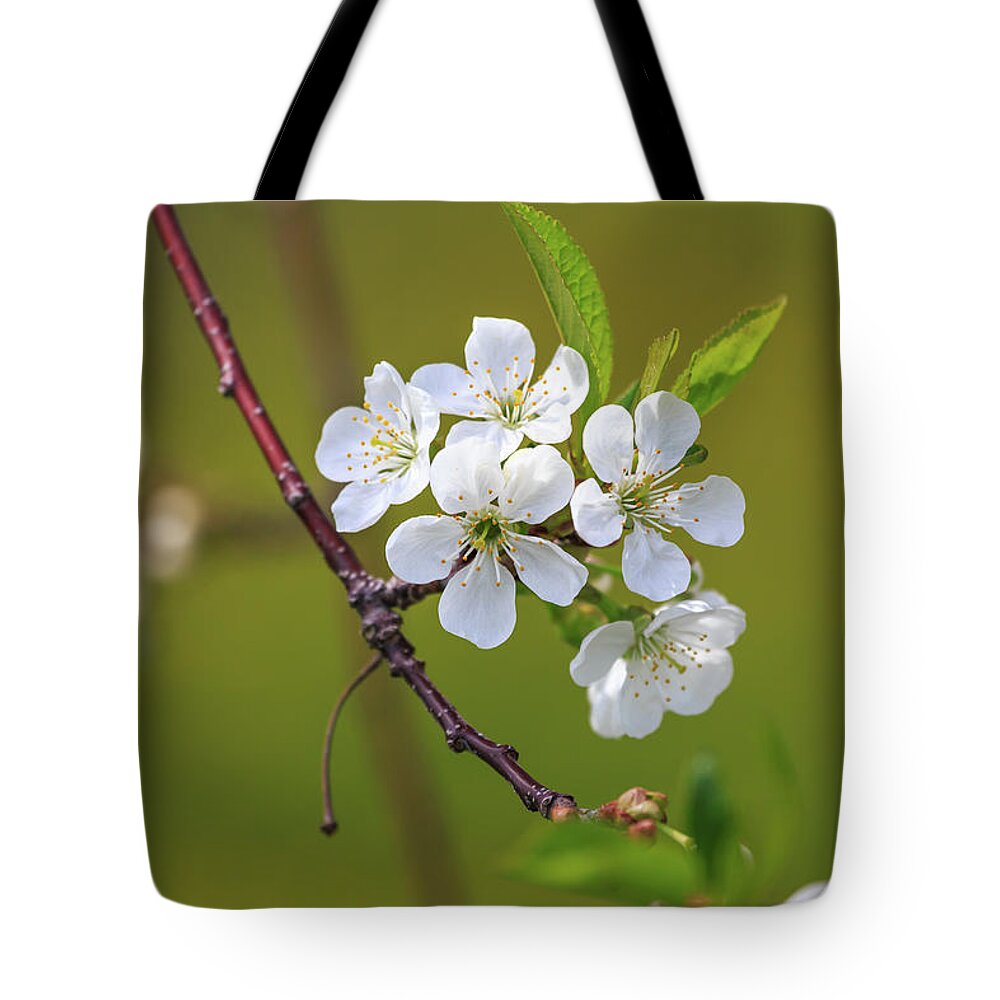 Door County Tote Bag featuring the photograph Spring Blossom by Paul Schultz