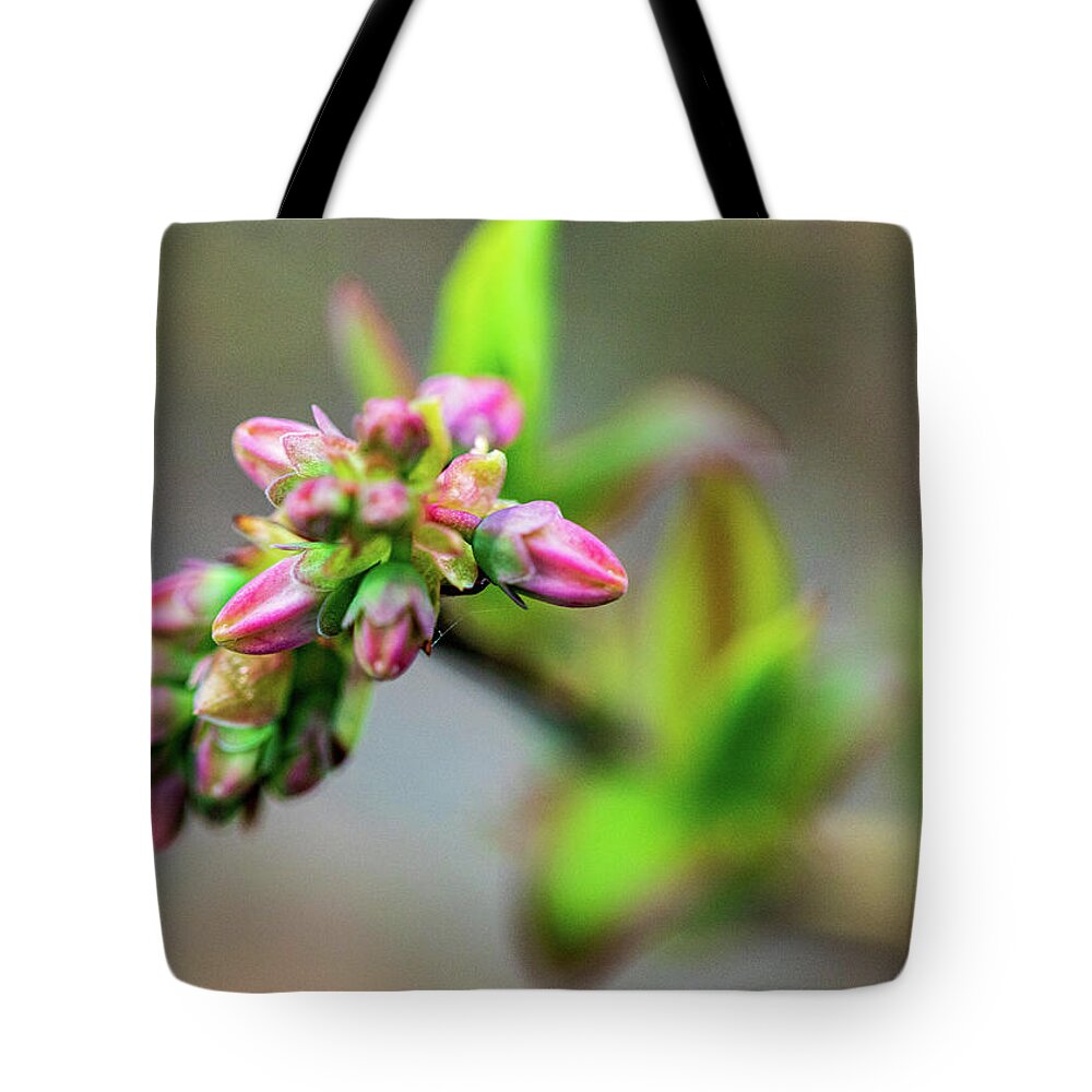 Plant Tote Bag featuring the photograph Spring Buds - Pink by Amelia Pearn