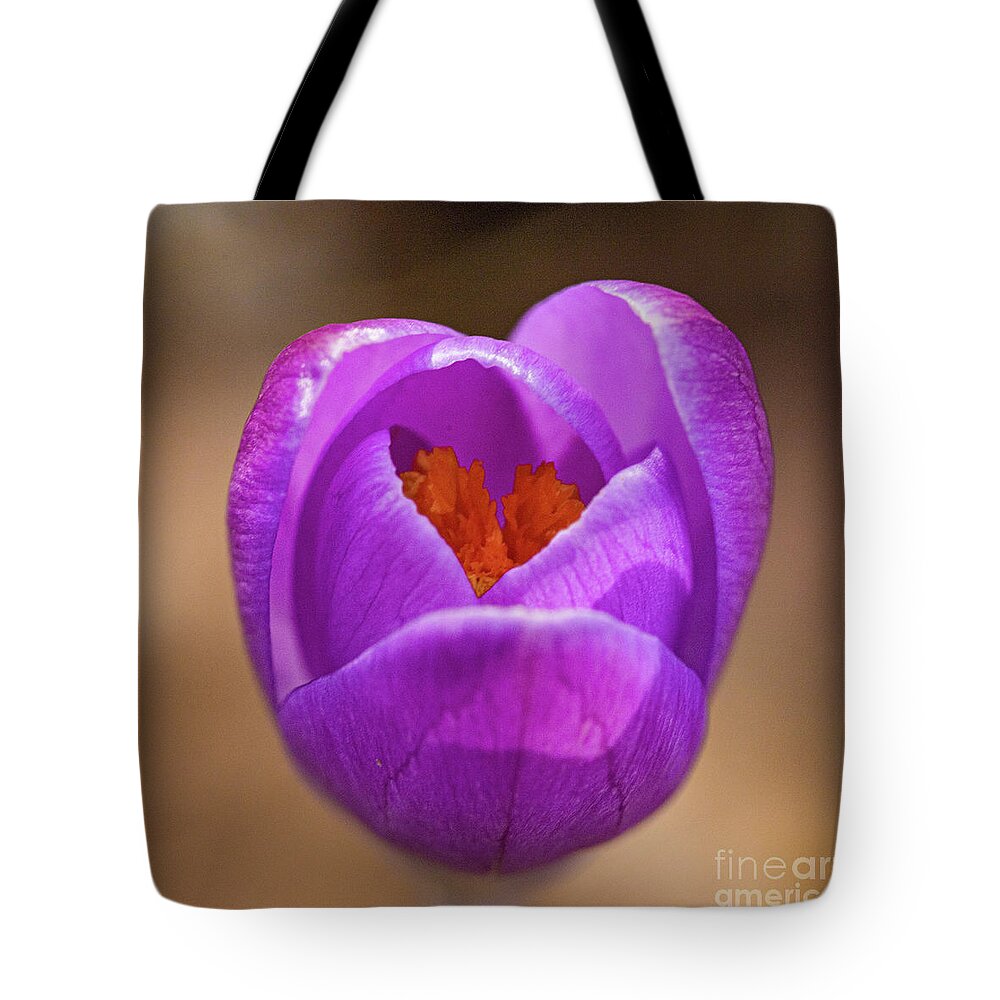 Gouda Tote Bag featuring the photograph Spring Crocus 2021 by Casper Cammeraat
