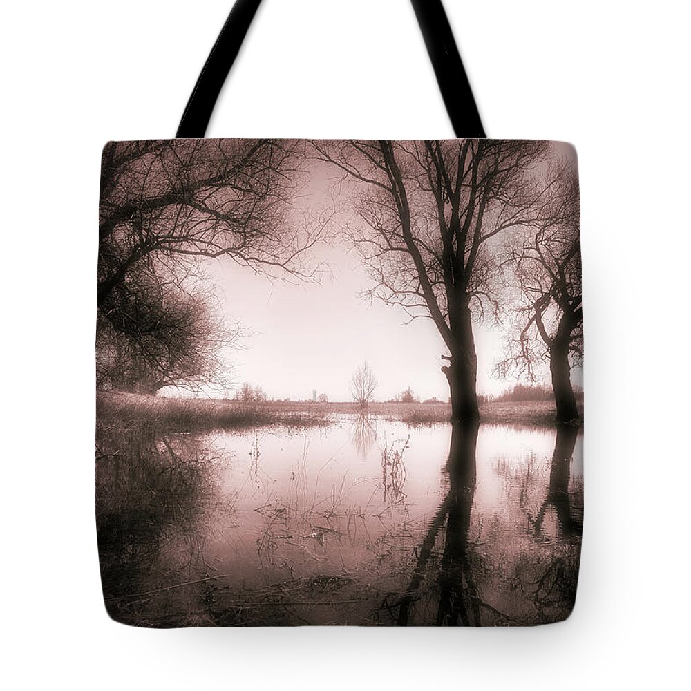 Pictorial Tote Bag featuring the photograph Spring Dreams by Andrii Maykovskyi