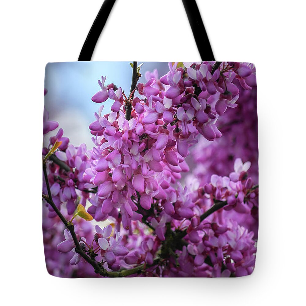 Pink Tote Bag featuring the photograph Spring flowers blooming by Andrew Lalchan