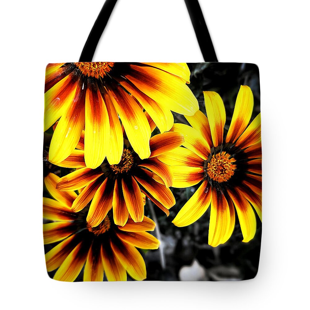 Orange Tote Bag featuring the photograph Spring Flowers by Dave Zumsteg