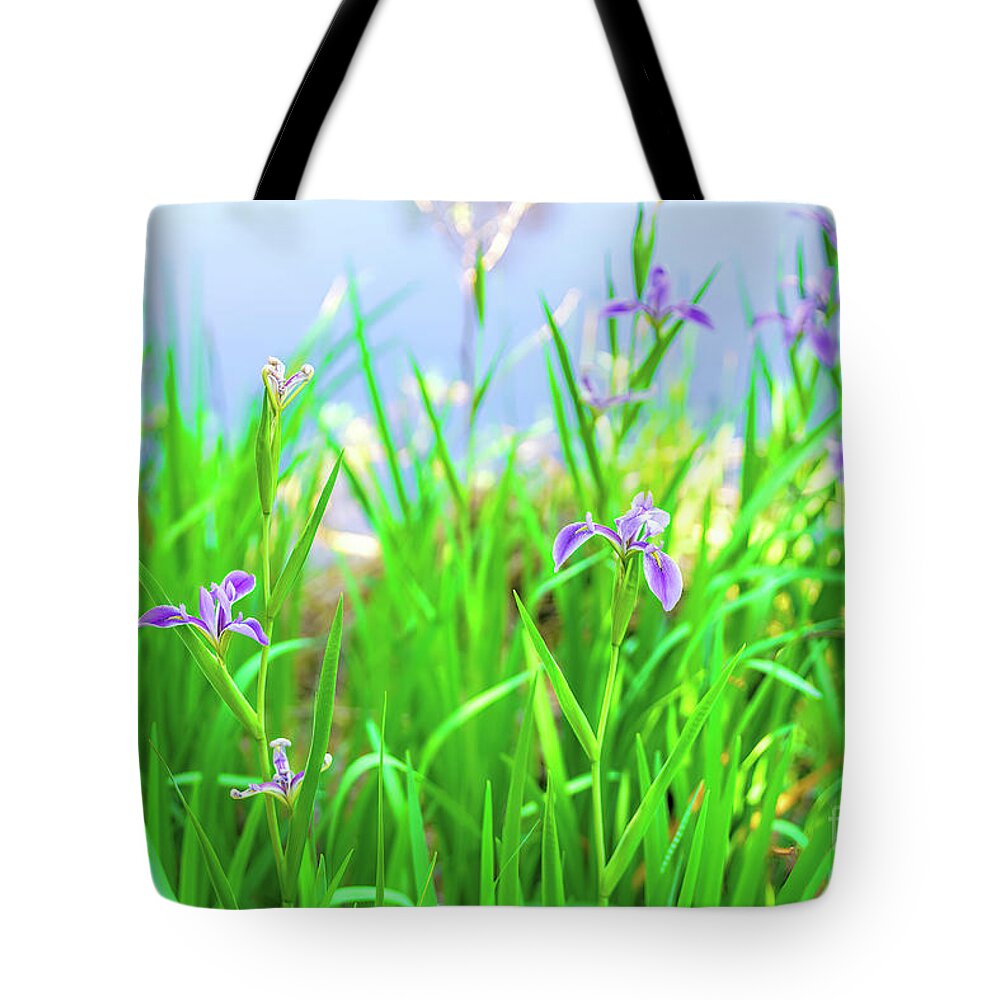 Spring In Florida Tote Bag featuring the photograph Spring In Florida, Wild Irises By The Water by Felix Lai