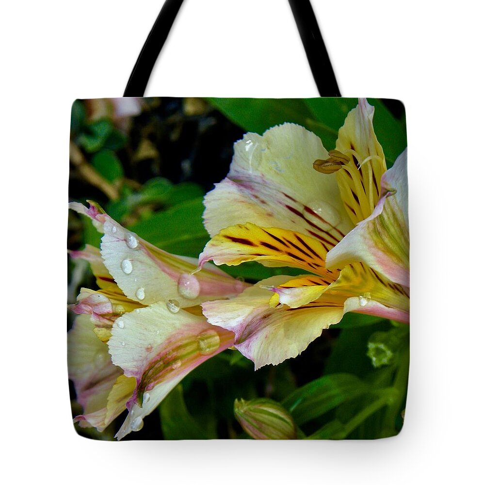 Flowers Tote Bag featuring the photograph Two Blooms by Kerry Obrist
