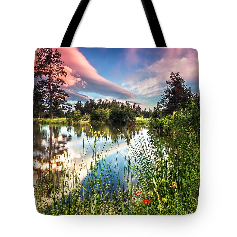 Mountain Tote Bag featuring the photograph Spring Lake by Evgeni Dinev