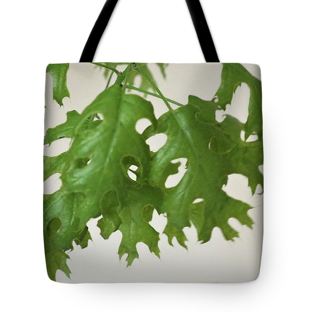 Green Tote Bag featuring the photograph Spring Leaves 5 by C Winslow Shafer