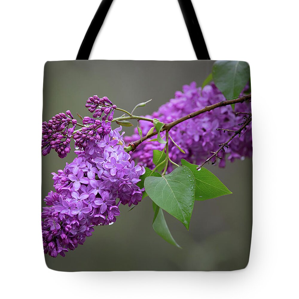 Spring Tote Bag featuring the photograph Spring Lilacs by Dale Kincaid