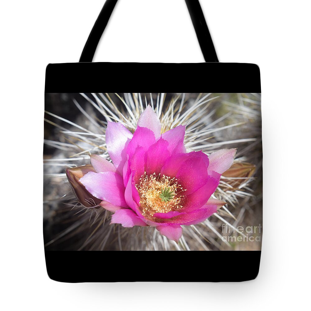 Flower Tote Bag featuring the photograph Spring Pops by Lisa Manifold