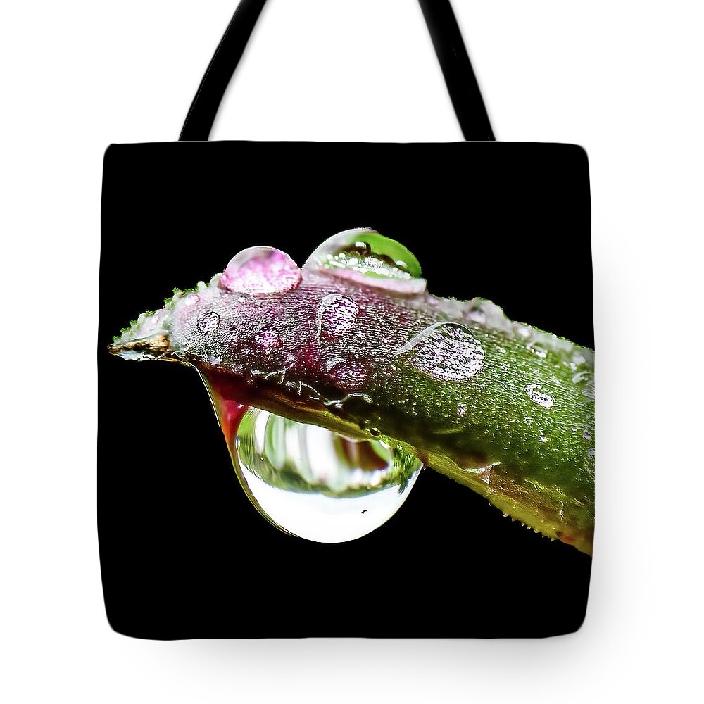 Close Tote Bag featuring the photograph Spring Rain by Brian Shoemaker