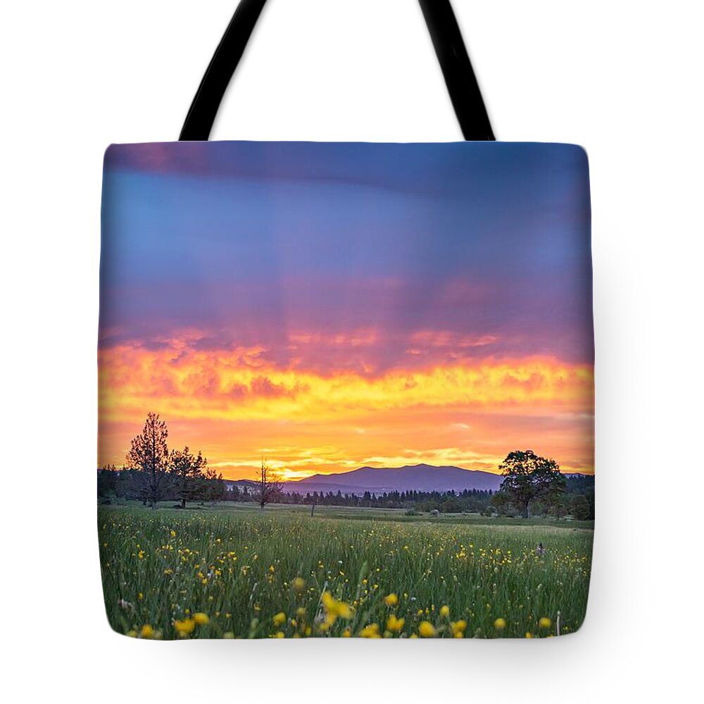 Spring Tote Bag featuring the photograph Spring Sunrise re-crop by Randy Robbins
