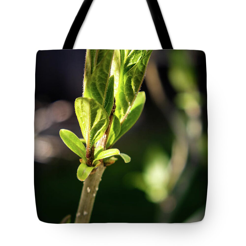 Blossom Tote Bag featuring the photograph Spring by Thomas Nay