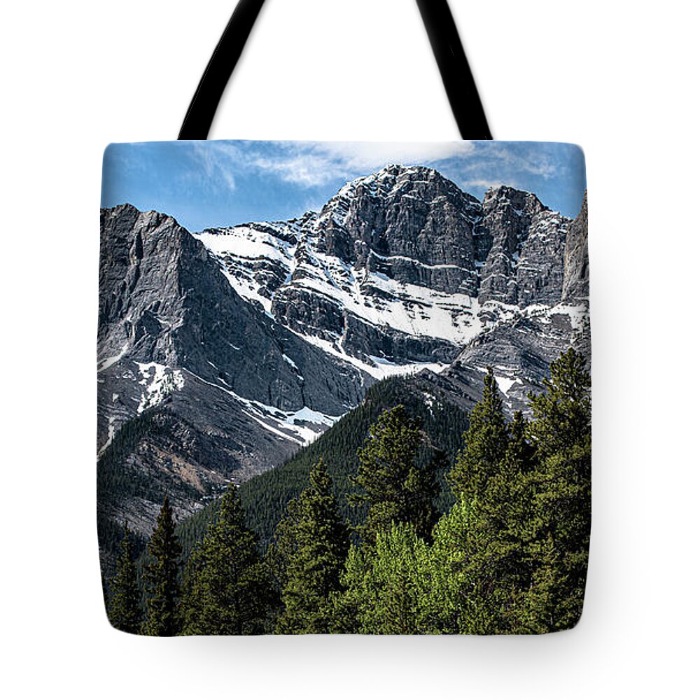 Digital Fineart Tote Bag featuring the digital art spring time in the Rockies by Jerald Blackstock