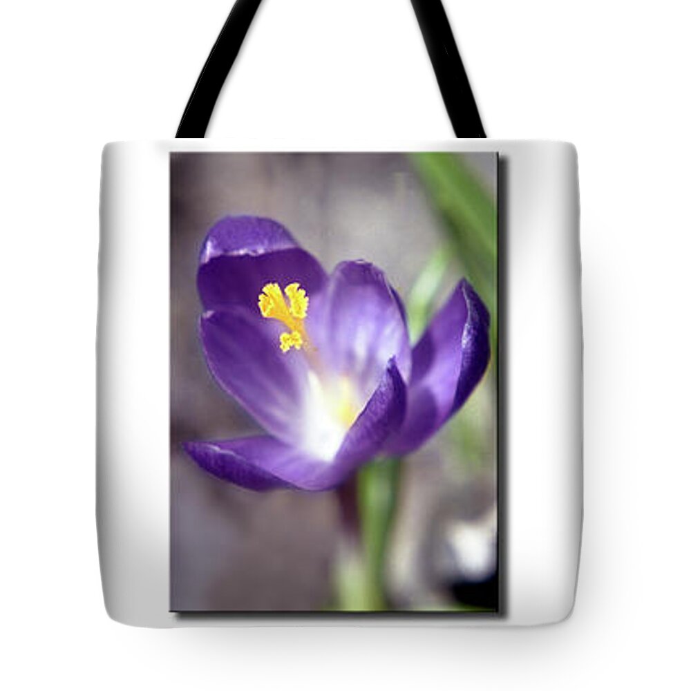 Purple Tote Bag featuring the photograph Spring Time by Richard Stedman