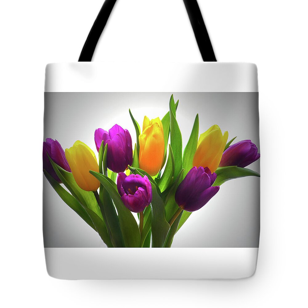Tulips Tote Bag featuring the photograph Spring Tulips by Terence Davis