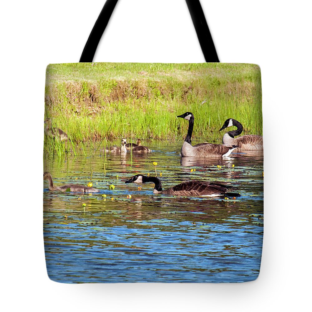 Geese Tote Bag featuring the photograph Springtime At The Pond by Cathy Kovarik