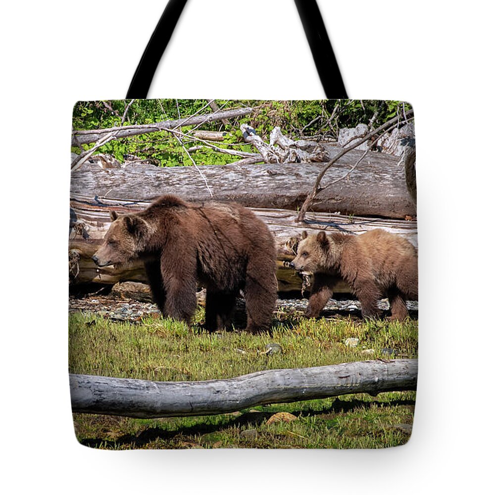 Springtime Grizzly Bears Tote Bag featuring the photograph Springtime Grizzly Bears by Jordan Blackstone