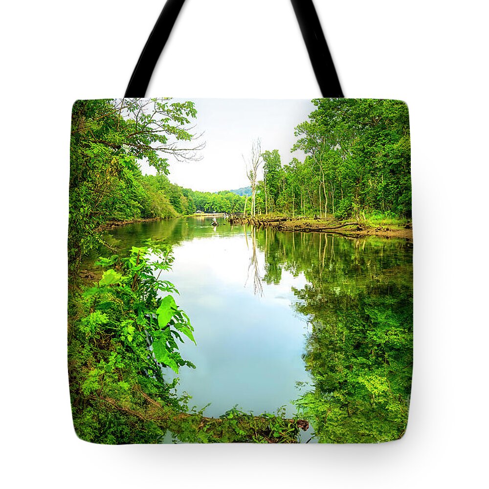 Springtime Tote Bag featuring the photograph Springtime on the South Fork in Northeast Tennessee by Shelia Hunt