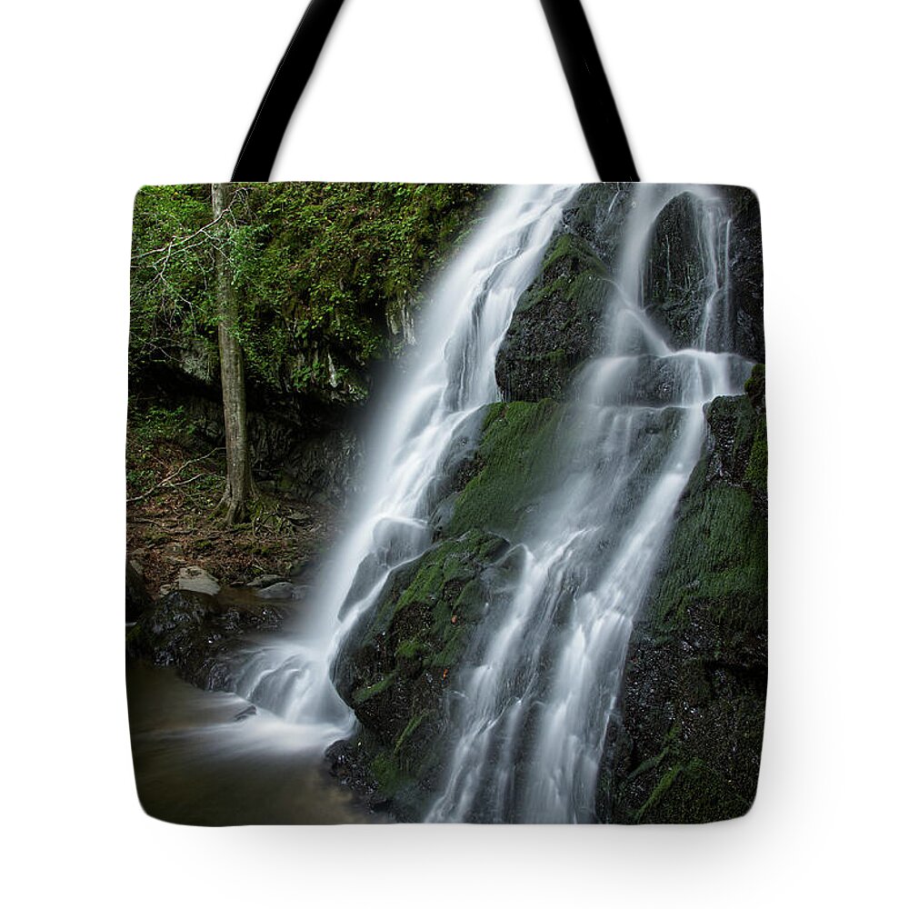 Tennessee Tote Bag featuring the photograph Spruce Flats Falls 11 by Phil Perkins