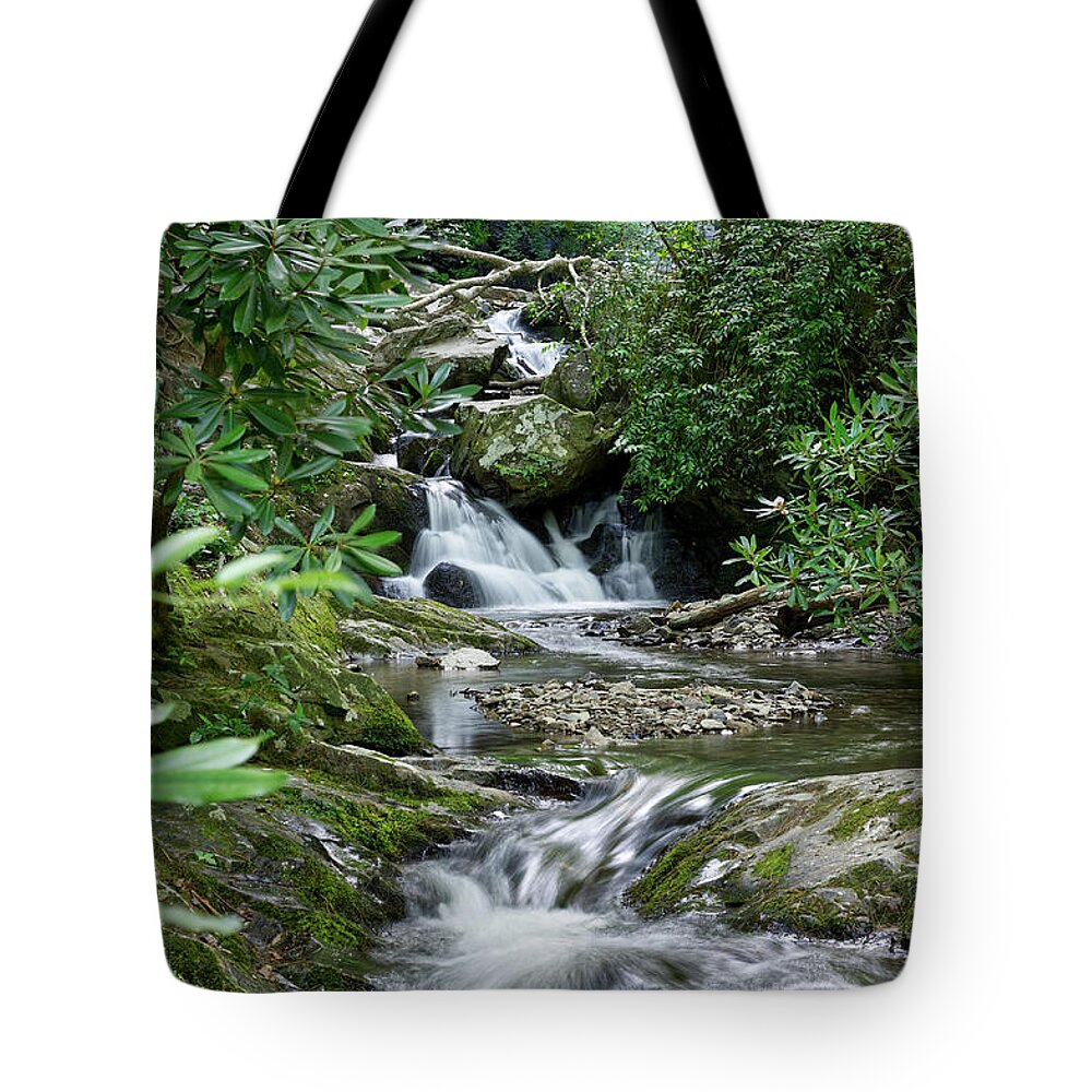 Tennessee Tote Bag featuring the photograph Spruce Flats Falls 31 by Phil Perkins