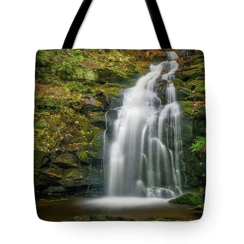 National Park Tote Bag featuring the photograph Spruce Flats Falls Autumn Up Close by Kenneth Everett