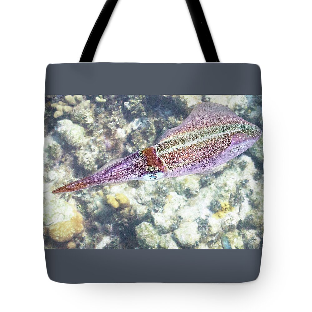 Squid Tote Bag featuring the photograph Squid Pro Quo by Lynne Browne