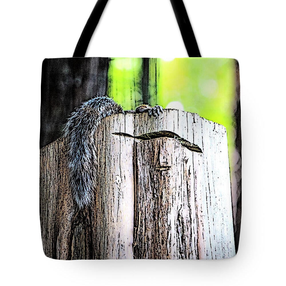 Charlotte-park Tote Bag featuring the digital art Squirrel at the Lake by SnapHappy Photos