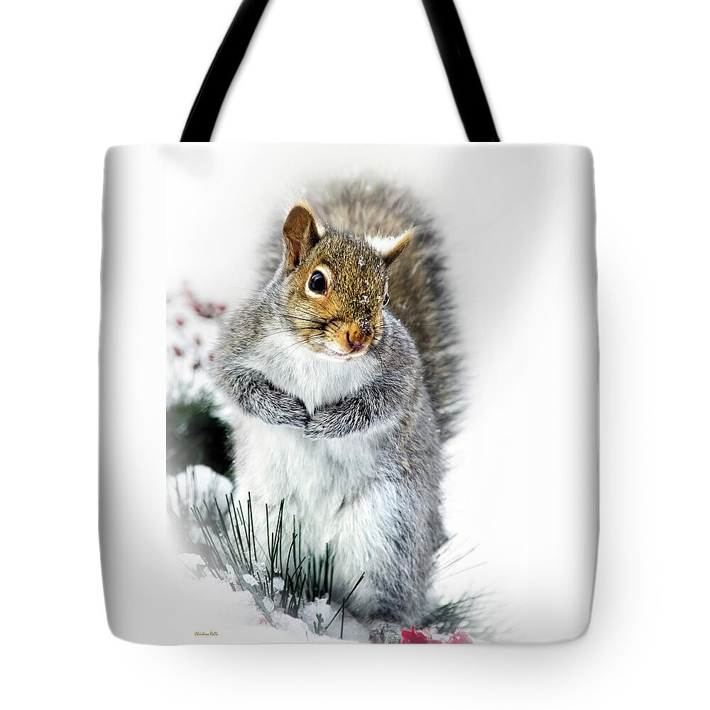 Squirrel Tote Bag featuring the photograph Squirrel in Snow by Christina Rollo