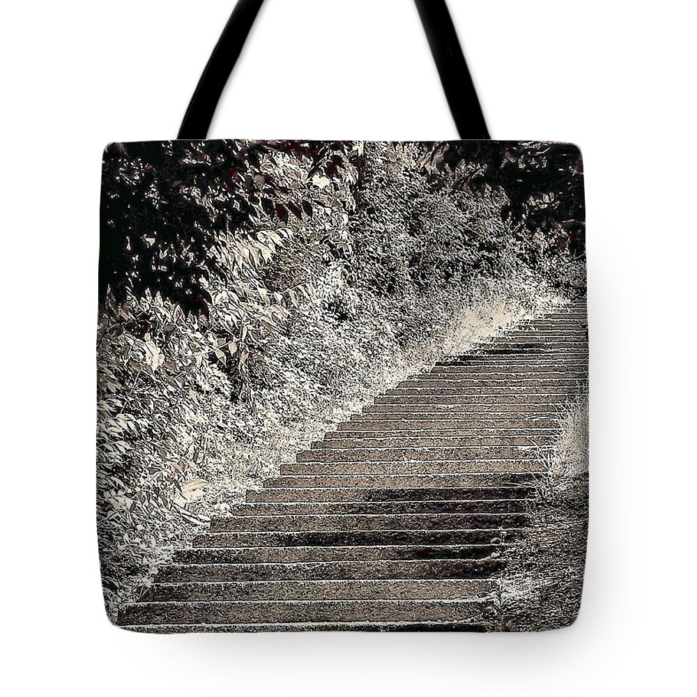 Stairs B&w Outdoors Bushes Tote Bag featuring the photograph Stairs1 by John Linnemeyer
