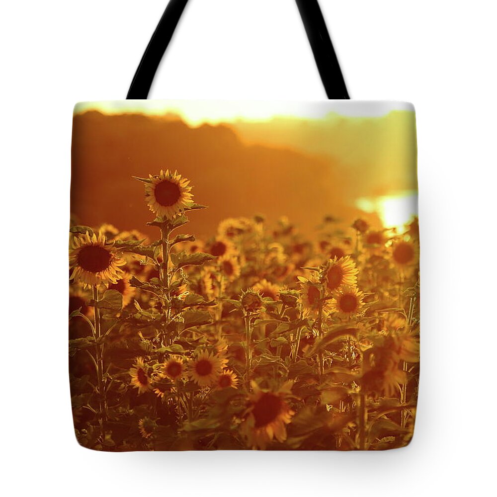 Summer Tote Bag featuring the photograph Stand Above The Crowd by Lens Art Photography By Larry Trager