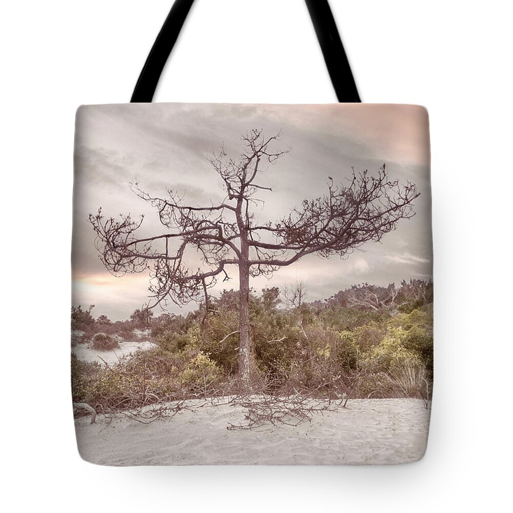 Tree Tote Bag featuring the photograph Standing on the Marsh Beach Dunes by Debra and Dave Vanderlaan