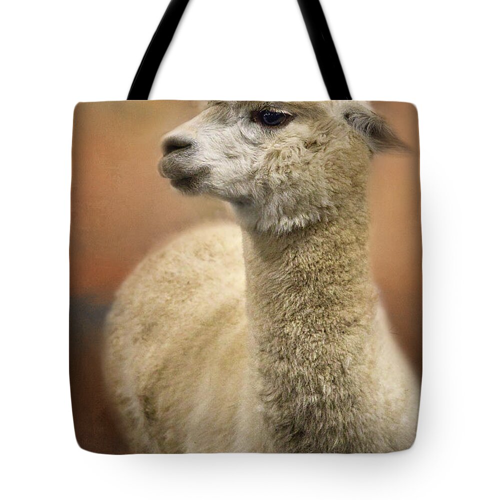 Alpaca Tote Bag featuring the photograph Standing Proudly by Amy Dundon