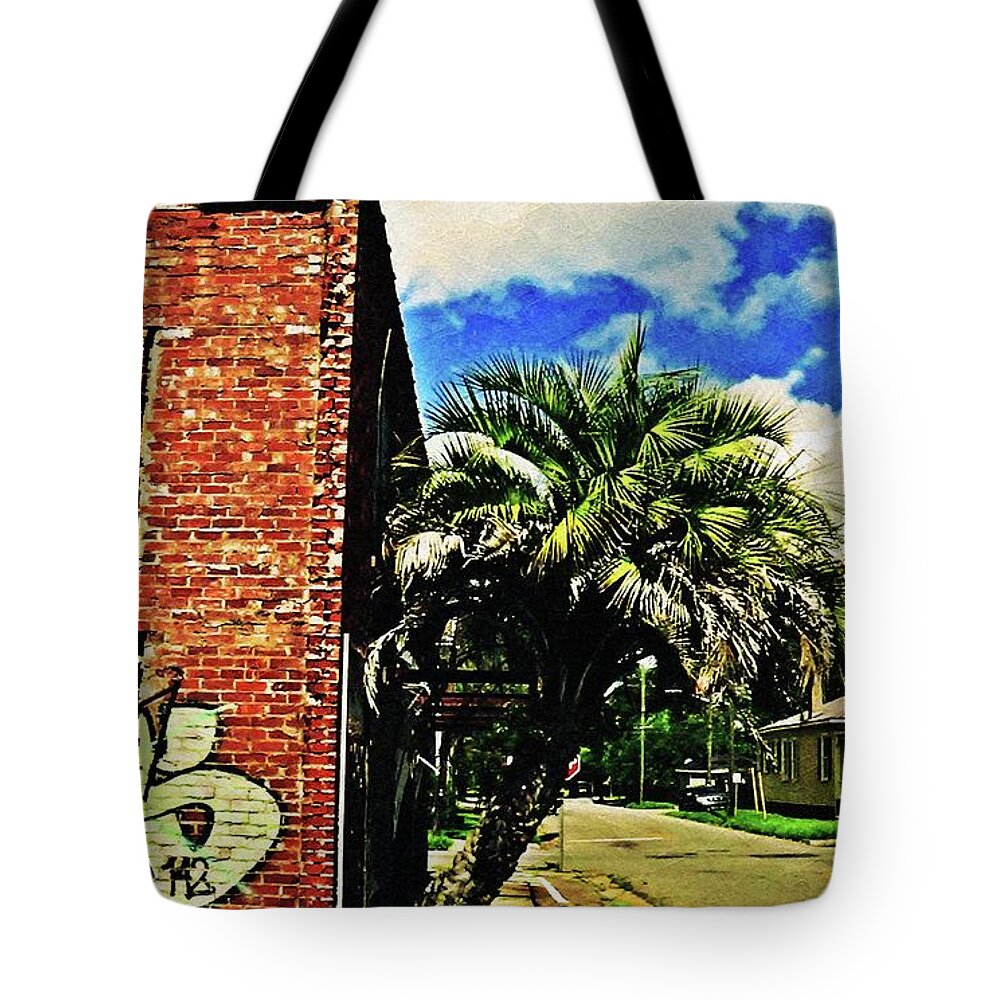 Earth Day Tote Bag featuring the photograph Standing Strong between Rocks and Hard Places by Aberjhani