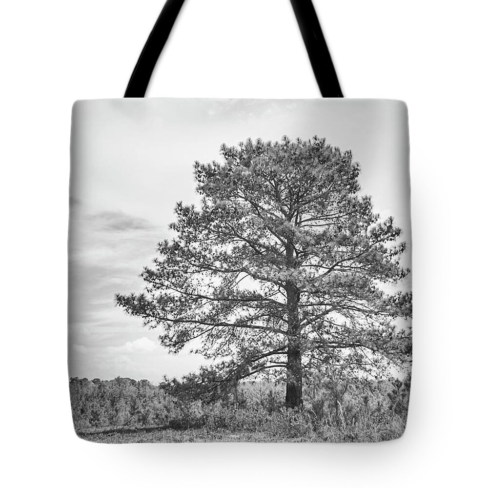 Tree Tote Bag featuring the photograph Standing Tall - Single Tree in a Vacant Field by Bob Decker