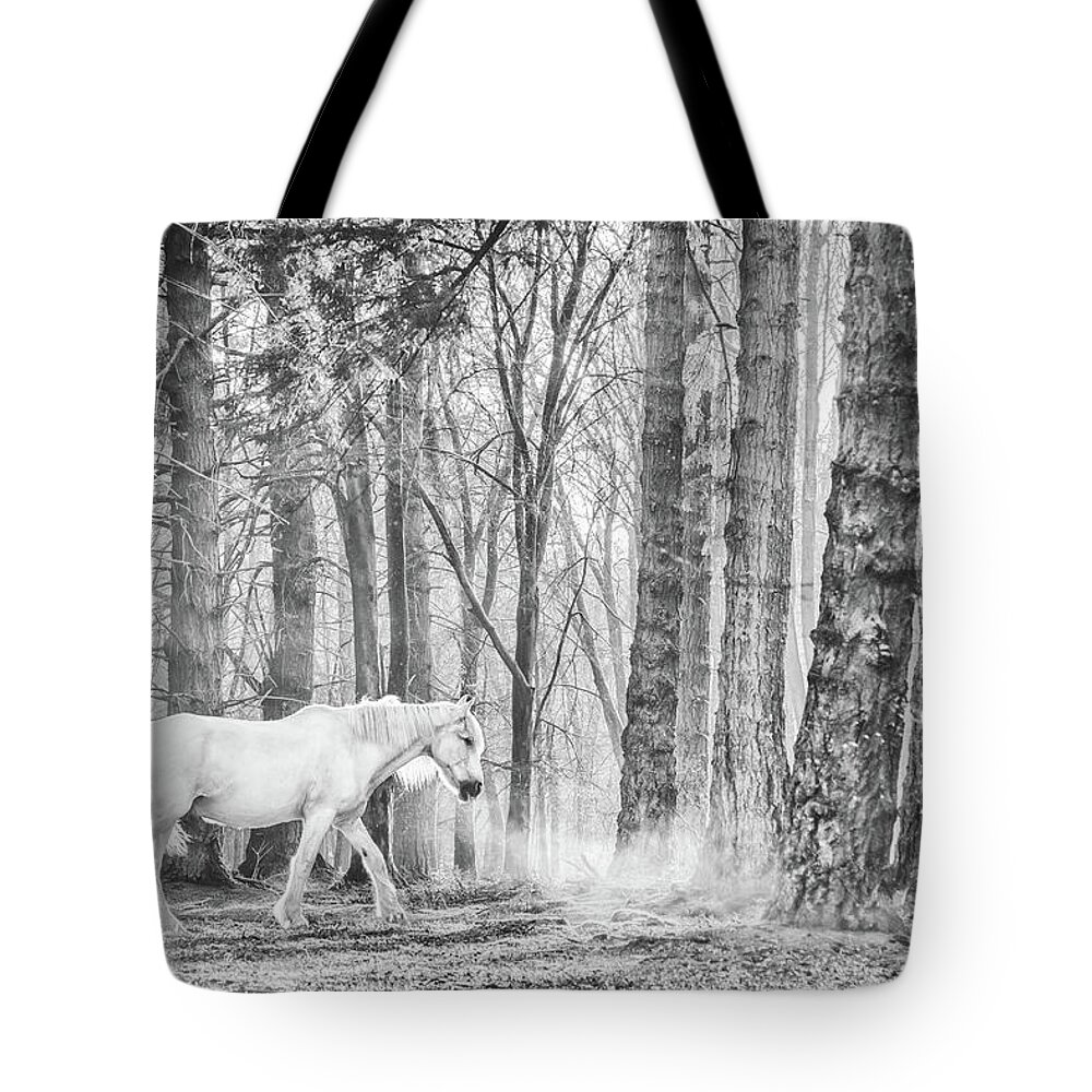 Horse Tote Bag featuring the photograph Stardust II - Horse Art by Lisa Saint
