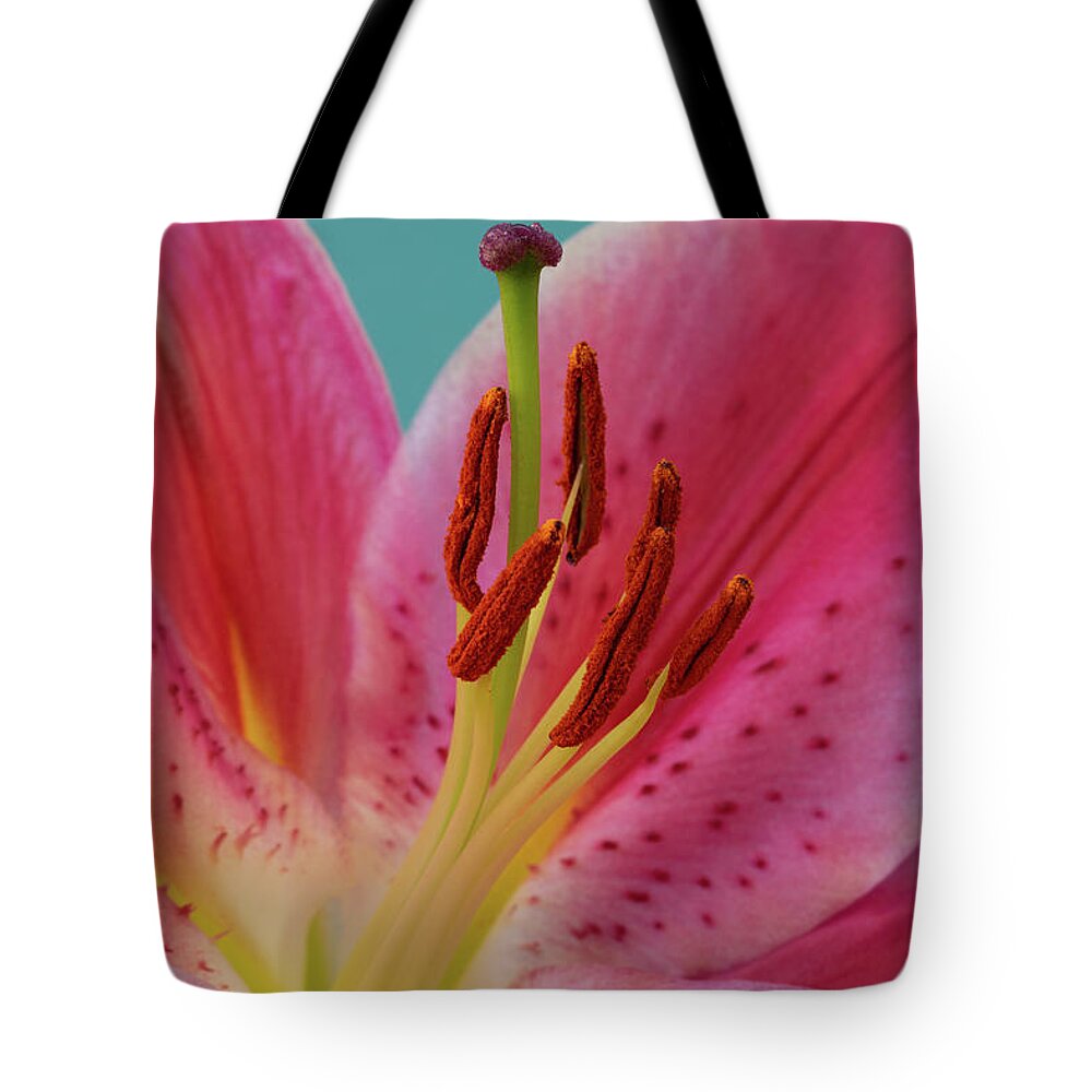 Lily Tote Bag featuring the photograph Stargazer Lily by Tina Horne