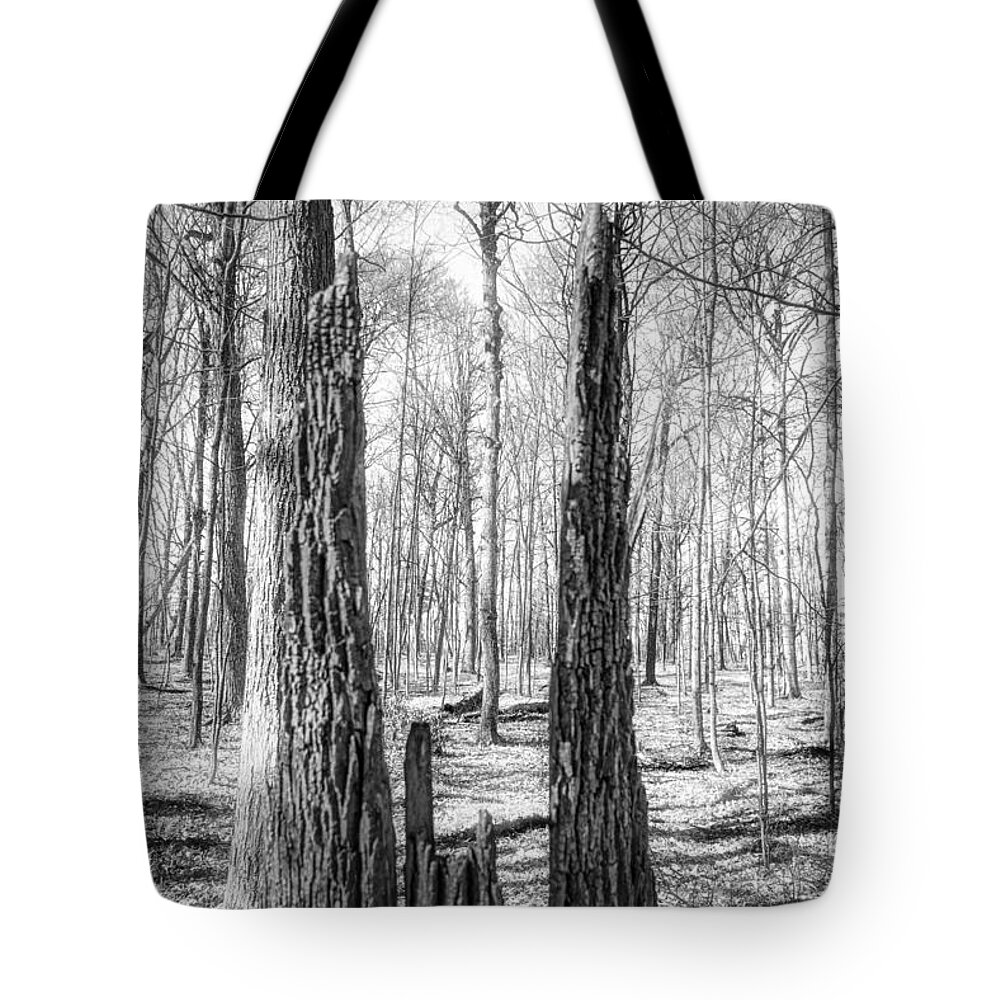 Monochrome Forest Tote Bag featuring the photograph Stark Forest by Jim Signorelli